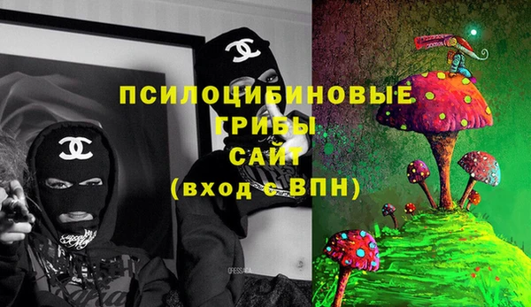 ГАЛЛЮЦИНОГЕННЫЕ ГРИБЫ Нея